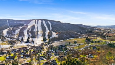 2127 Darius Dr, Cortland, NY 13045 - photo 4