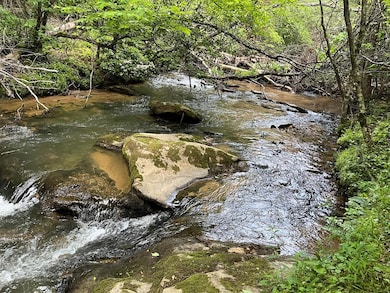 35 Indian Trace, Mineral Bluff, GA 30559 - photo 3