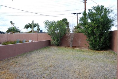 YARD AREA NEXT TO POOL