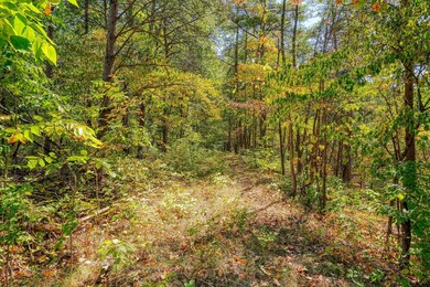 0 Clay Hill Rd, Logan, OH 43138 - photo 5