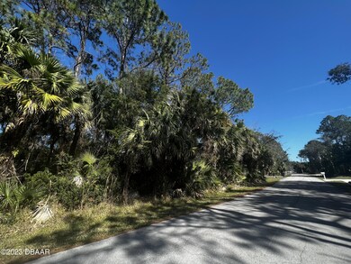 36 Palm Ln 2