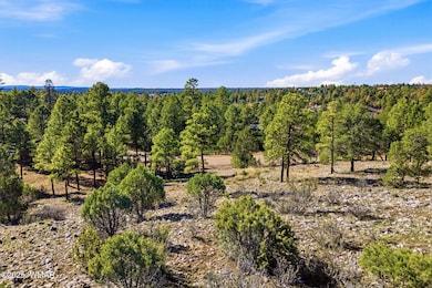 2287 Aero Mech Dr, Overgaard, AZ 85933 - photo 2