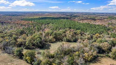 TBD Cr 3170, Winnsboro, TX 75494 - photo 5