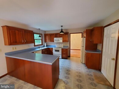 165 Henry Rd, Barto, PA 19504 - photo 5
