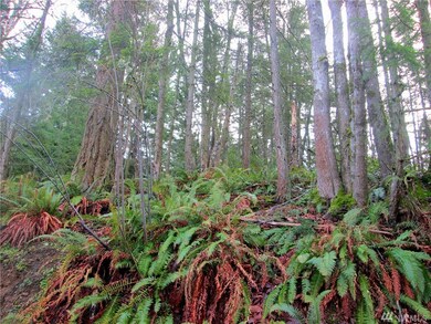 43 Brays Way, Bellingham, WA 98226 - photo 6