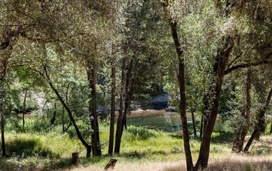 0 Cosumnes View Trail unit 224066683, Placerville, CA 95667 - photo 6