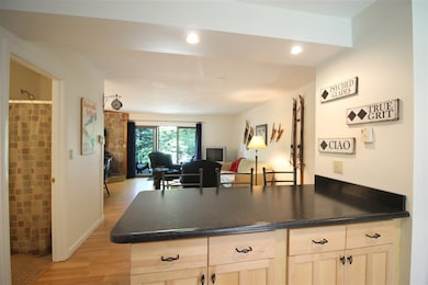 26 Windsor Hill Way unit 118, Waterville Valley, NH 03215 - photo 5