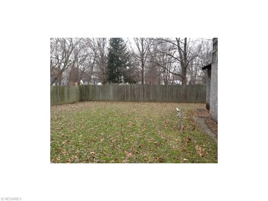 Back yard