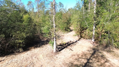 TBD Farm To Market 1280 E, Lovelady, TX 75851 - photo 3