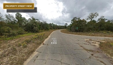 0 Canterbury Dr, Chipley, FL 32428 - photo 5