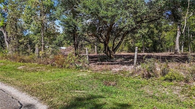 B-2 Bennett Rd, Holden, LA 70744 - photo 7