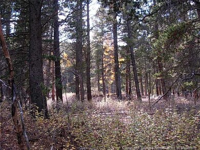 Land/Lot.