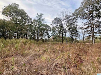 0 County Road 82, Newell, AL 36280 - photo 4