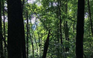 9.88A Tabor Rd, Ellijay, GA 30536 - photo 3