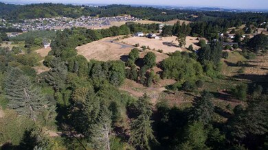 4535 Lobo Ln, Silverton, OR 97381 - photo 7