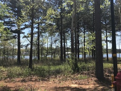 0 Harbor View Dr unit 53 1311361, Madison, MS 39110 - photo 5