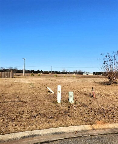 32 Rowland Cir, Byron, GA 31008 - photo 2