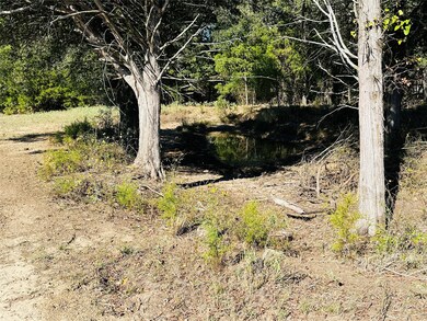 1683 County Road 3563 unit (10.319 ac.), Dike, TX 75437 - photo 3