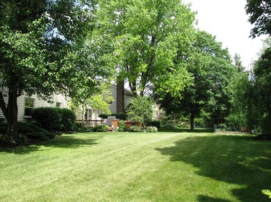 5- Side Lot View
