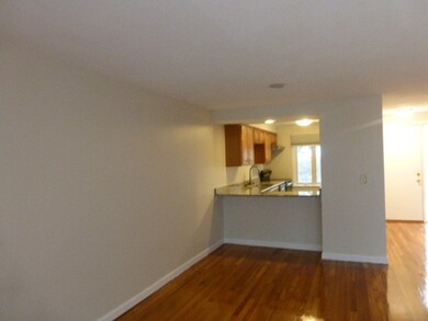 3 Webster Ct, Amherst, MA 01002 - photo 3