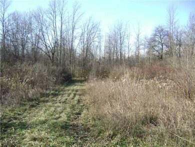 Land. Pathways are cut around perimeter of the property.  All paths lead back to open area and driveway