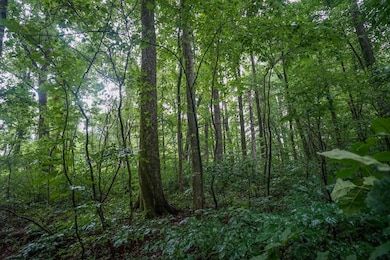 0 Duncanson Rd unit 24555971, Whiteoak Township, OH 45171 - photo 4