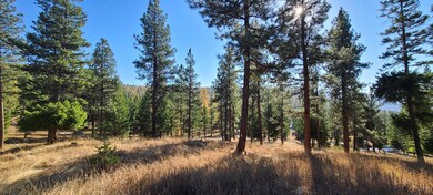 160 Torto Loop, Kila, MT 59920 - photo 5