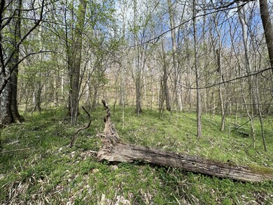 0 Lake View Dr unit RTC2807964, Smithville, TN 37166 - photo 4