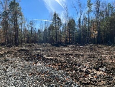 0 Windsor Rd unit 9 4887482, Hillsborough, NH 03244 - photo 3