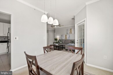 1519 N Point Dr unit 304, Reston, VA 20194 - photo 6