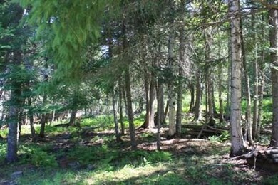 Woods