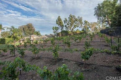 Private vineyard with approximately 200 Chardonnay