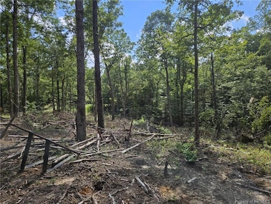 10055 Old Stage Rd, Toano, VA 23168 - photo 3