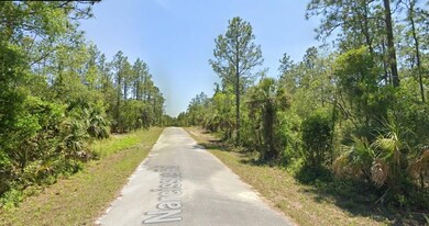 TBD Narcissus Rd, Dunnellon, FL 34431 - photo 6
