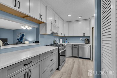 65 Townsend Ct, Franklin Park, NJ 08823 - photo 4