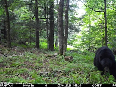 2340 Sands Creek Rd, Hancock, NY 13783 - photo 7