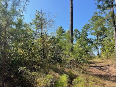 0 Mcdaniel Rd, Ethel, MS 39067 - photo 2