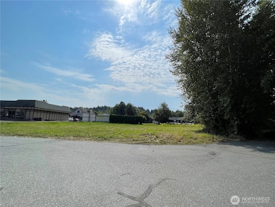 3536 Jay Way, Mount Vernon, WA 98273 - photo 3