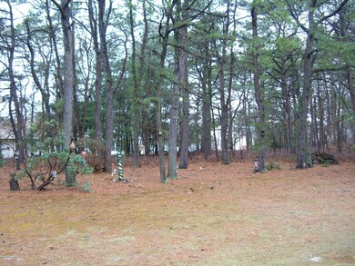2004_0104Image0003
