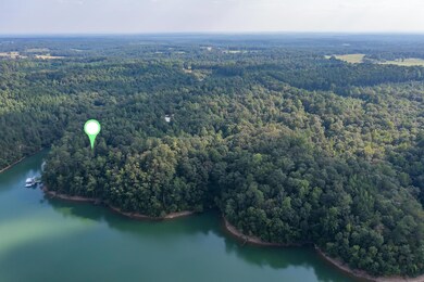 331 Quiet Cove Rd, Jasper, AL 35503 - photo 4