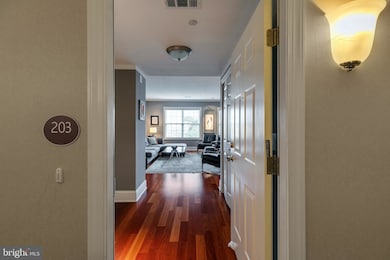 821 Harry St unit 203, Conshohocken, PA 19428 - photo 2