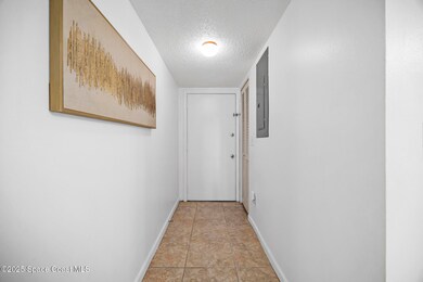 View of hall/front door