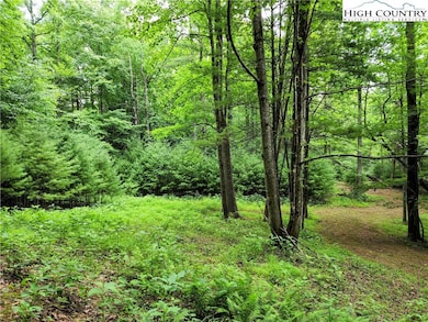 Tbd Brightwood Trail, Deep Gap, NC 28618 - photo 4