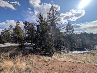 56 Rampart Cir, Florissant, CO 80816 - photo 2