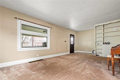 136 Wilson St, Struthers, OH 44471 - photo 5