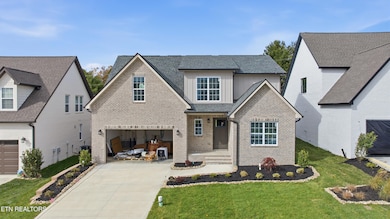 carolina-71 (Caulfield)