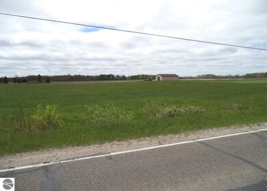 VL Curtis Rd, Hale, MI 48739 - photo 4