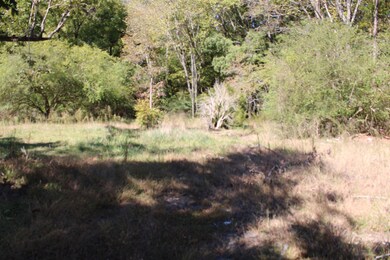 1411 Martin Luther King jr Blvd, Siler City, NC 27344 - photo 6