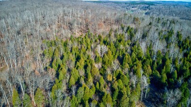 0 Lancaster Rd, Branchville, IN 47514 - photo 5