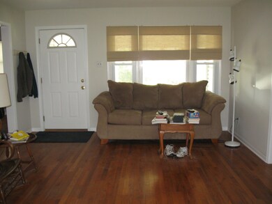 wood floors